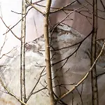 La Maison Du Sucre Bed and breakfast 4*